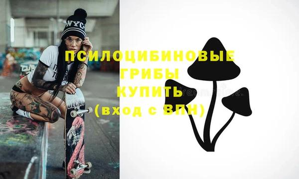 СК Гусь-Хрустальный