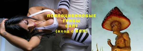 MDMA Гусиноозёрск
