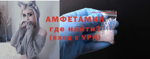 гашик Михайлов