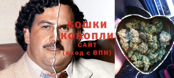 прущая мука Гусев