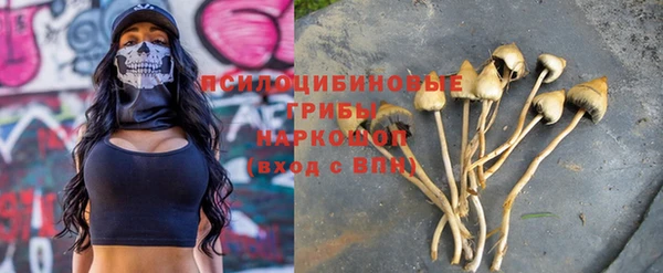 spice Михайловск