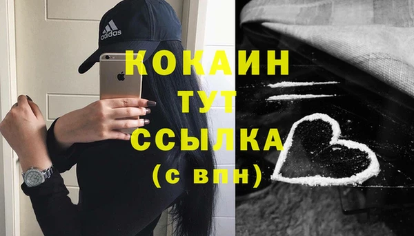 СК Гусь-Хрустальный