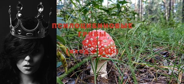 гашик Михайлов